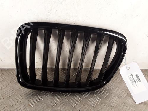 Used Grille BMW X1 (E84) sDrive 20 d (177 hp) 30126118