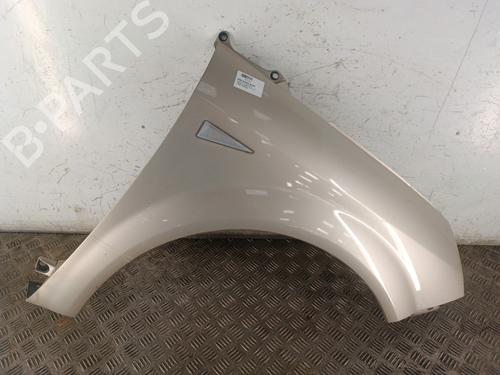 Right front fenders RENAULT SCÉNIC II (JM0/1_) 1.9 dCi (JM0G, JM12, JM1G, JM2C) | BP30017057C42