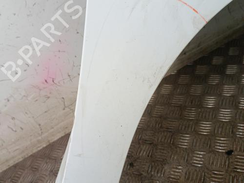 Right front fenders RENAULT KANGOO / GRAND KANGOO II (KW0/1_) 1.5 dCi 90 (KW05, KW08, KW0G, KW11) | BP30012884C42 