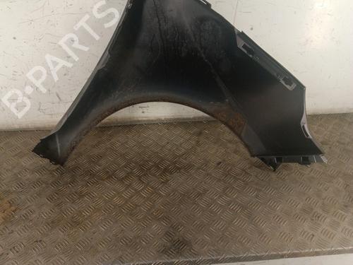 Left front fenders RENAULT SCÉNIC III (JZ0/1_) 1.5 dCi | BP30025365C41