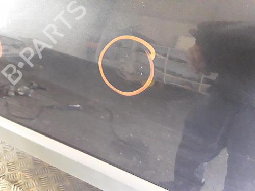 Right front door RENAULT MEGANE II (BM0/1_, CM0/1_) 1.5 dCi (BM1E, CM1E) | BP30016157C3