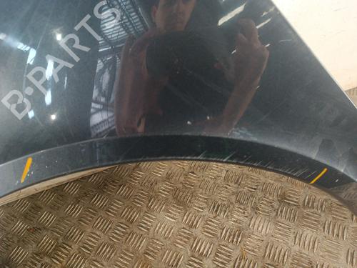 Left front fenders RENAULT LAGUNA II (BG0/1_) 1.9 dCi (BG1A, BG1W, BG0G) | BP30148586C41