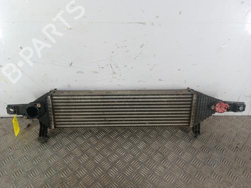 Intercooler Intercooler NISSAN QASHQAI I (J10, NJ10) 1.6 dCi (130 hp) 36759099 36759099