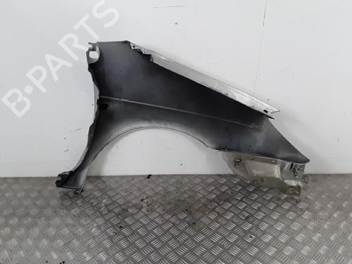 Guarda-lamas esquerdo RENAULT SCÉNIC I MPV (JA0/1_, FA0_) 1.9 dCi (JA05, JA1F) (102 hp) 30021080