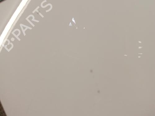 Used Left front fenders VW TRANSPORTER T6 Van (SGA, SGH, SHA, SHH) 2.0 TDI 4motion (150 hp) 30012323