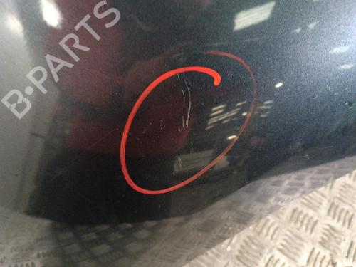 Left front fenders RENAULT SCÉNIC III (JZ0/1_) 1.5 dCi | BP30009589C41