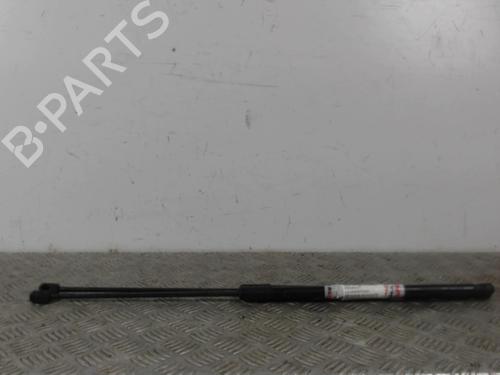 Tailgate lift support RENAULT MEGANE III Coupe (DZ0/1_) 1.5 dCi (DZ09, DZ0D, DZ1F, DZ1G, DZ14, DZ29) | BP30022560C138 