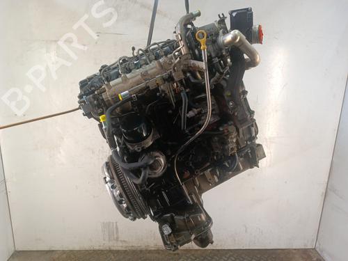 Engine NISSAN NAVARA NP300 (D40) 2.5 dCi 4WD | BP37035553M1 - Image 5