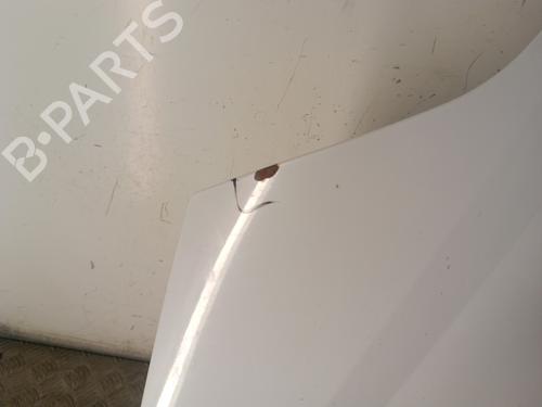Used Hood Hood RENAULT MEGANE Scenic (JA0/1_) 1.9 D (JA0J) (64 hp) 30020179 30020179