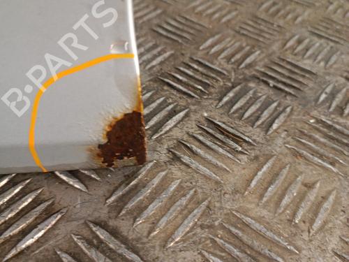 Left front door MERCEDES-BENZ C-CLASS (W203) C 220 CDI (203.006) | BP30017007C2 