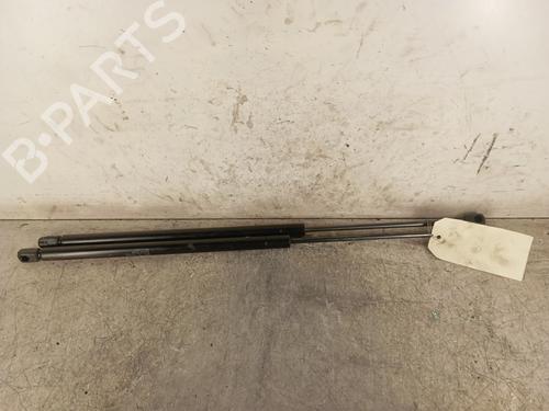 Tailgate lift support RENAULT MEGANE Scenic (JA0/1_) 1.9 dTi (JA0N) | BP30010432C138 