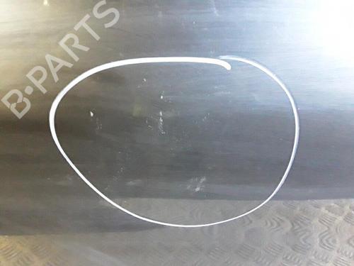 Left front door DACIA SANDERO 1.4 (BS0C, BS0A, BS0G, BS1F, BS0E) | BP30027125C2 