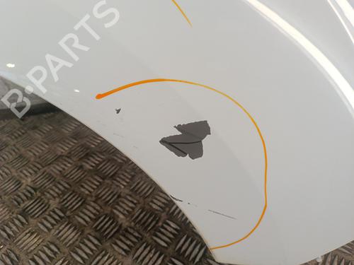 Right front fenders RENAULT KANGOO / GRAND KANGOO II (KW0/1_) 1.5 dCi 90 (KW05, KW08, KW0G, KW11) | BP30023117C42 