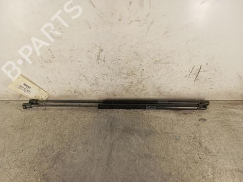 Used Tailgate lift support RENAULT MEGANE Scenic (JA0/1_) 1.9 dTi (JA0N) (98 hp) 30010432