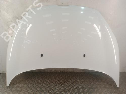 hood-ford-fiesta-vi-cb1-ccn-2008-37021969 main image