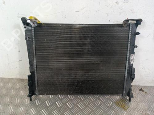 Used Water radiator Water radiator RENAULT TWINGO II (CN0_) 1.2 16V (CN04, CN0B) (75 hp) 30019485 30019485