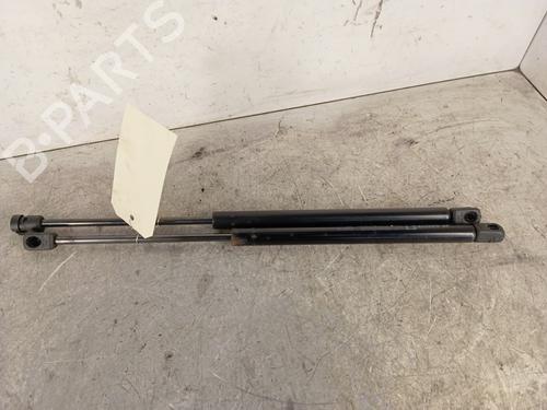 Tailgate lift support CITROËN C3 I (FC_, FN_) 1.4 HDi | BP30014742C138 