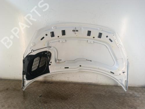 Hood PEUGEOT 206+ (2L_, 2M_) 1.4 HDi eco 70 | BP30014621C1