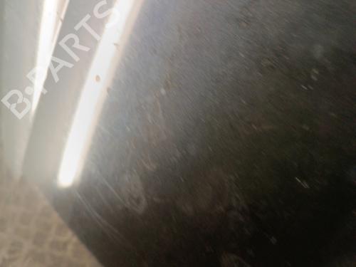 Hood RENAULT LAGUNA II Grandtour (KG0/1_) 2.2 dCi (KG0F) | BP30012595C1