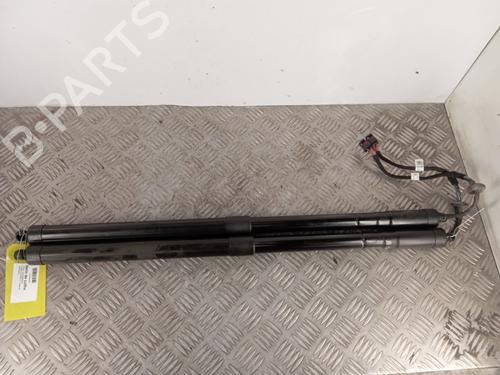 tailgate-lift-support-ford-c-max-ii-dxacb7-dxaceu-2010-2011-2012-2013-2014-2015-2016-2017-2018-2019-33692663 main image