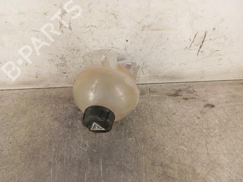 Used Expansion tank Expansion tank 30020049 30020049