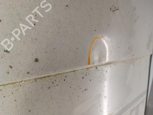 Left tailgate FORD TRANSIT Van (FA_ _) 2.4 TDE | BP30181170C76 