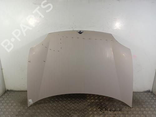 Used Hood RENAULT KANGOO (KC0/1_) 1.2 (KC0A, KC0K, KC0F, KC01) (58 hp) 30014968