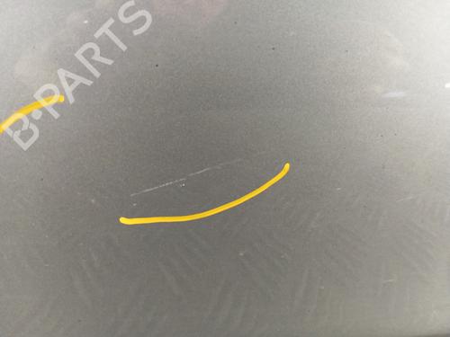 Left front door RENAULT CLIO III (BR0/1, CR0/1) 1.2 16V Hi-Flex (BR1U, CR1U) | BP30007807C2 