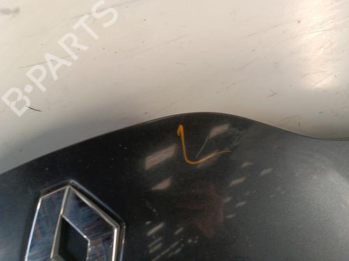 Pokrywa przednia / Maska silnika RENAULT LAGUNA II (BG0/1_) 1.9 dCi | BP30014729C1 