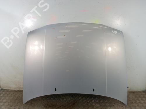 Used Hood VW GOLF III (1H1) 1.9 D (64 hp) 30018500