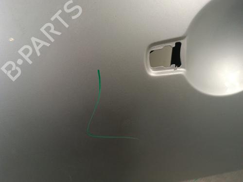 Left front door NISSAN PATHFINDER III (R51) 2.5 dCi 4WD | BP30012840C2