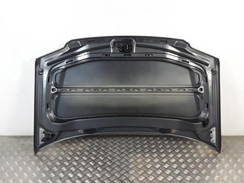 Panser VW TOURAN (1T1, 1T2) 2.0 TDI (136 hp) 30026570