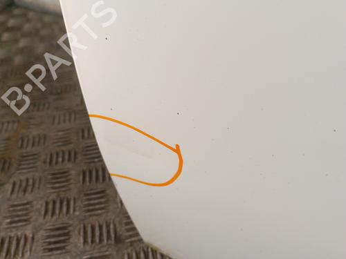 Left front door PEUGEOT EXPERT (224_) 2.0 HDI 16V | BP30018251C2