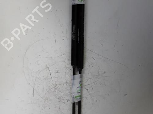 Used Tailgate lift support FIAT 500 (312_) 1.2 (312AXA1A) (69 hp) 30016461