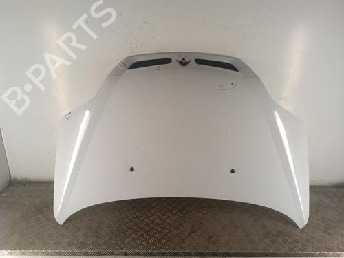 Cofano anteriore RENAULT MEGANE Scenic (JA0/1_) 1.9 D (JA0J) (64 hp) 30020179