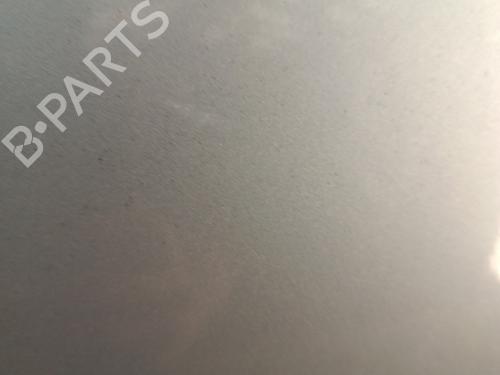 Tailgate FIAT GRANDE PUNTO (199_) 1.3 D Multijet | BP30017411C6 