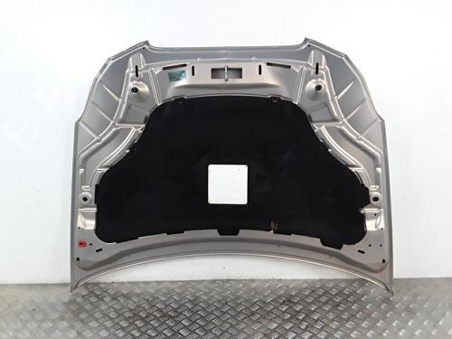 Used Hood LANCIA DELTA III (844_) 1.6 D Multijet (844.AXC11, 844.AXC1A) (120 hp) 30015759