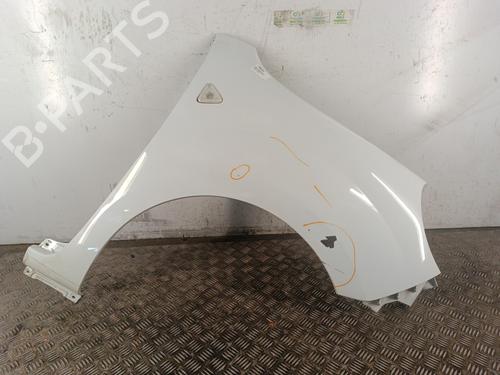 Used Right front fenders RENAULT KANGOO / GRAND KANGOO II (KW0/1_) 1.5 dCi 90 (KW05, KW08, KW0G, KW11) (90 hp) 30023117