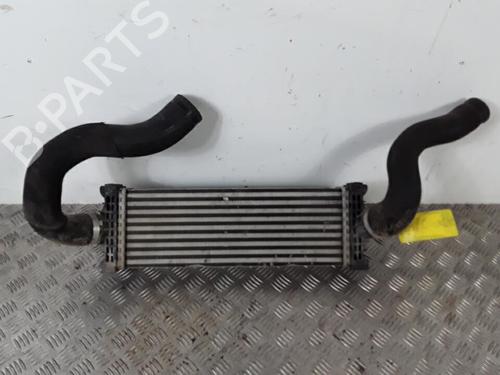 Intercooler FORD TRANSIT V363 Van (FCD, FDD) 2.0 EcoBlue | BP30026404M30 