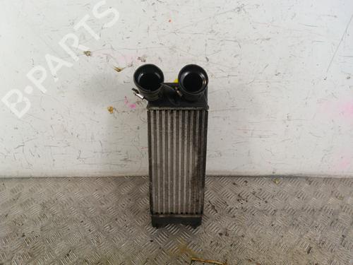 Intercooler PEUGEOT 3008 I MPV (0U_) 1.6 HDi (109 hp) 30025898