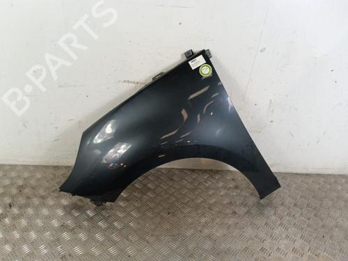 Left front fenders RENAULT SCÉNIC III (JZ0/1_) 1.5 dCi | BP30009589C41