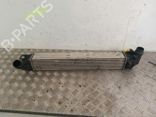 Intercooler DACIA DUSTER (HS_) 1.5 dCi | BP30009371M30