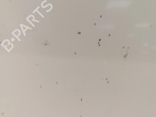 Left rear door RENAULT LAGUNA III Grandtour (KT0/1) 2.0 dCi (KT01, KT08, KT09, KT0K, KT12, KT1D, KT1W) | BP30023486C4 