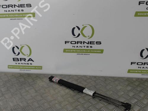 Used Tailgate lift support TOYOTA COROLLA Verso (ZER_, ZZE12_, R1_) 2.2 D-4D (AUR10_, AUR10R) (136 hp) 30027757