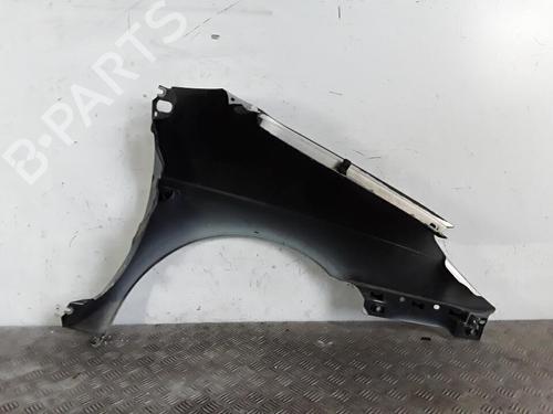 Kotflügel links vorne für RENAULT SCÉNIC I MPV (JA0/1_, FA0_) 1.9 dCi (JA05, JA1F) (102 hp) 30026982