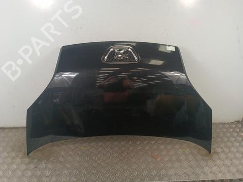 hood-peugeot-bipper-tepee-2008-30018401 main image