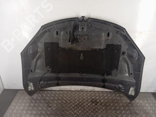 hood-renault-megane-iii-hatchback-bz01_-b3_-2008-30012360 main image