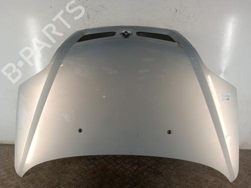Used Hood RENAULT SCÉNIC I MPV (JA0/1_, FA0_) 1.9 dCi (JA05, JA1F) (102 hp) 30024964