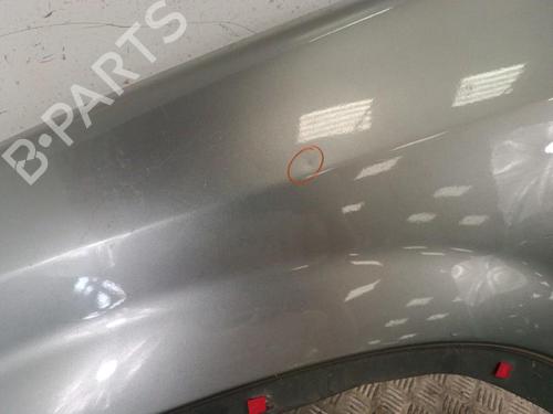 Left front fenders HONDA CR-V II (RD_) 2.2 CTDi (RD9) | BP30018946C41 