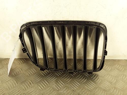 Used Grille Grille BMW X1 (E84) sDrive 20 d (177 hp) 30126118 30126118